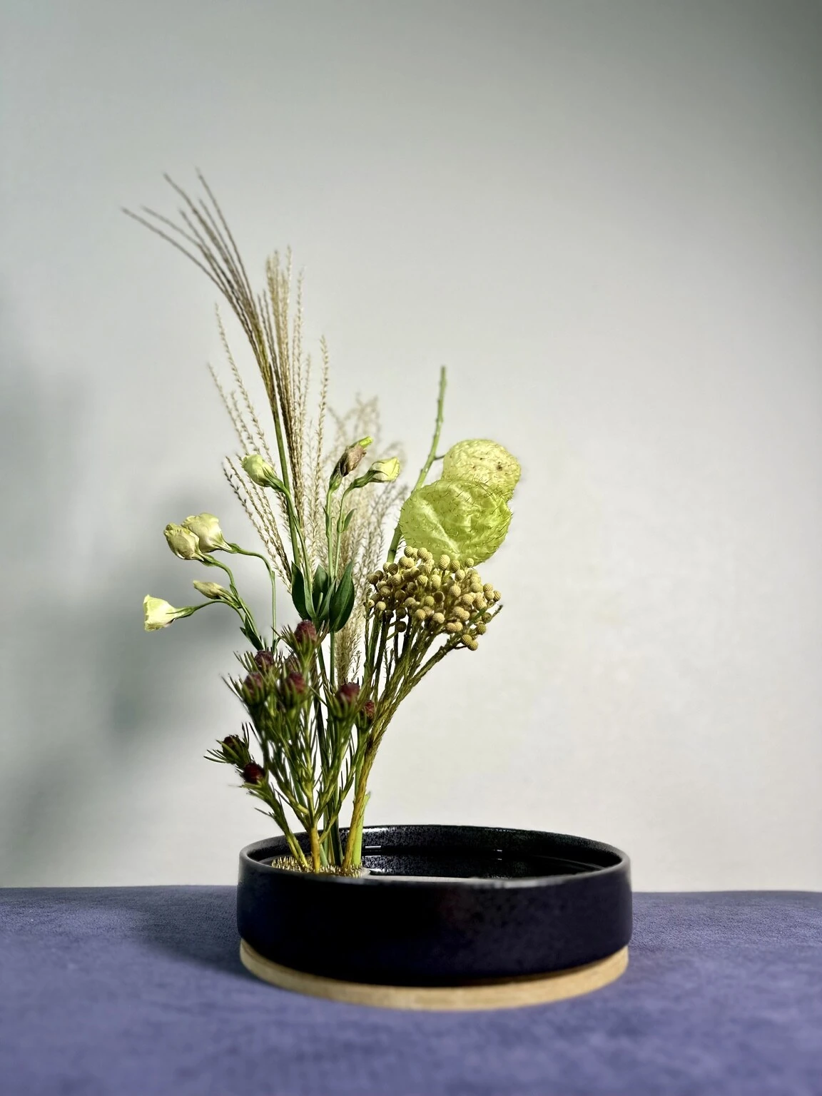 Pale Constellation — view 1