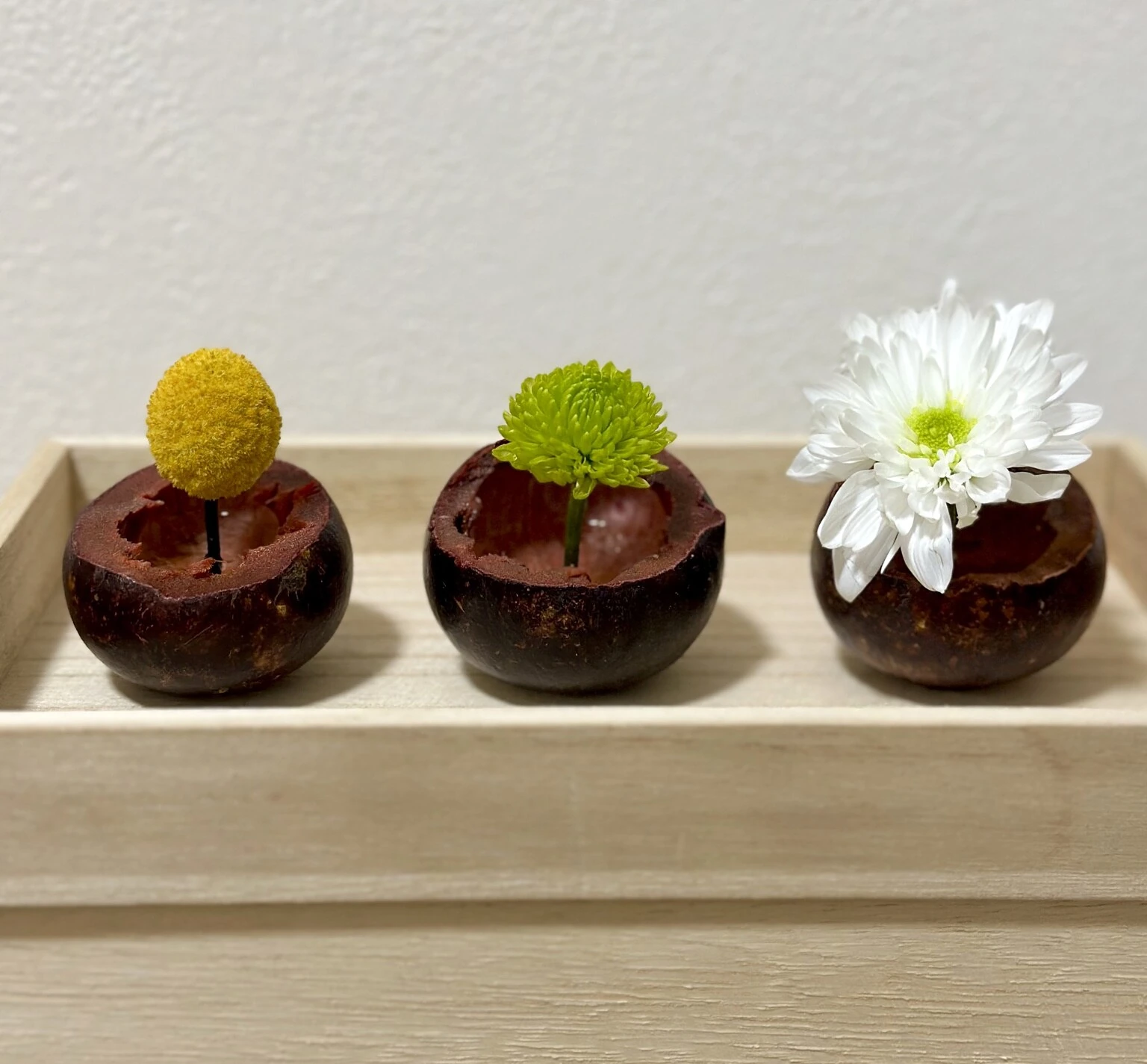 Three Small Worlds — view 1
