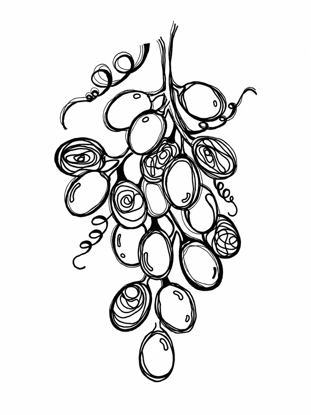 Grapes label illustration