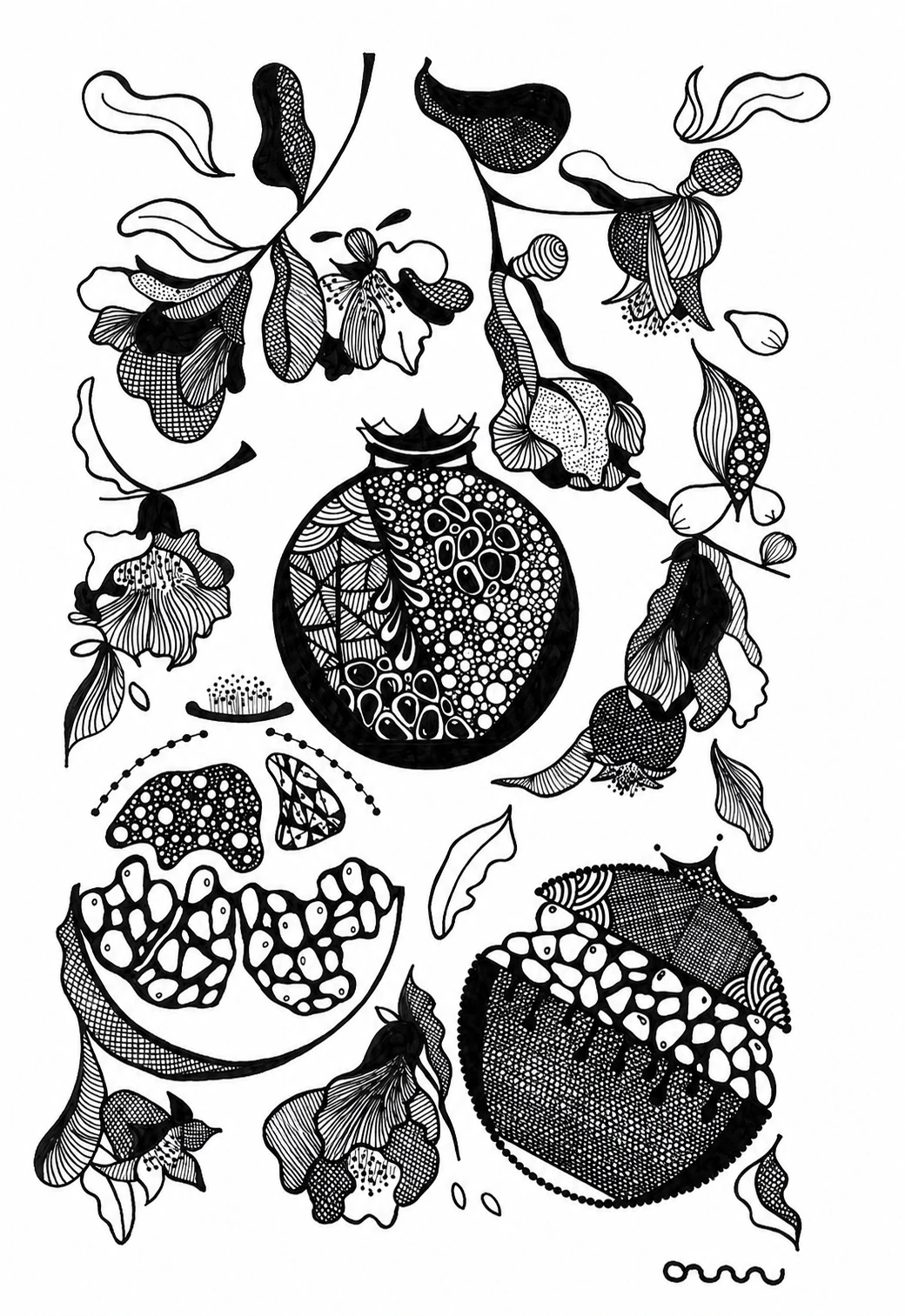 Pomegranate label illustration