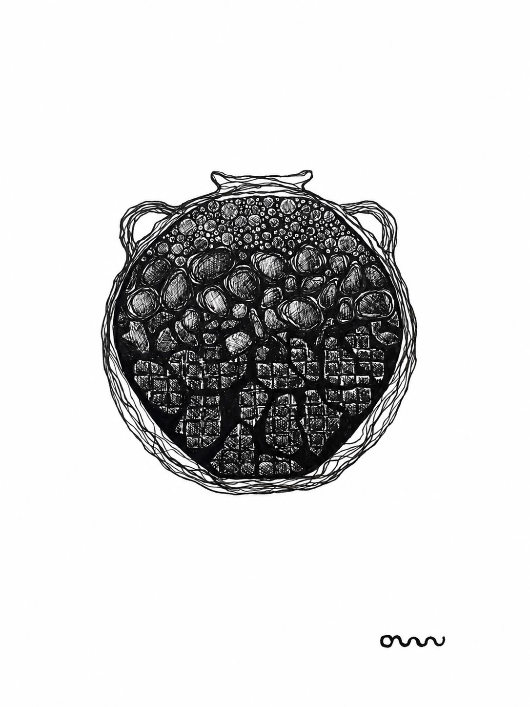 Qvevri label illustration