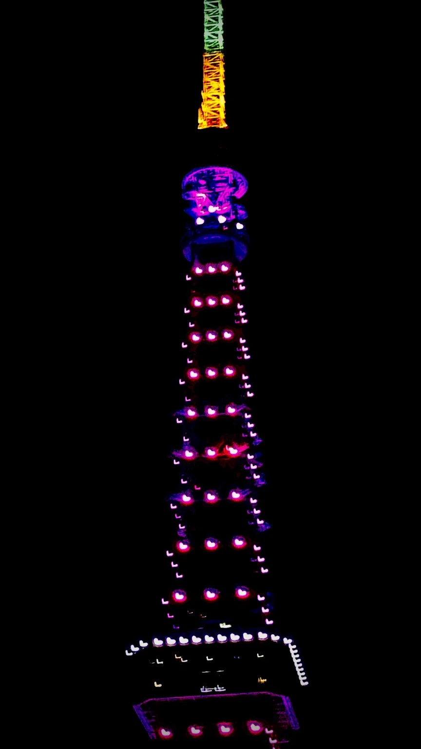 Traces of Light: Tokyo Tower, photograph 6